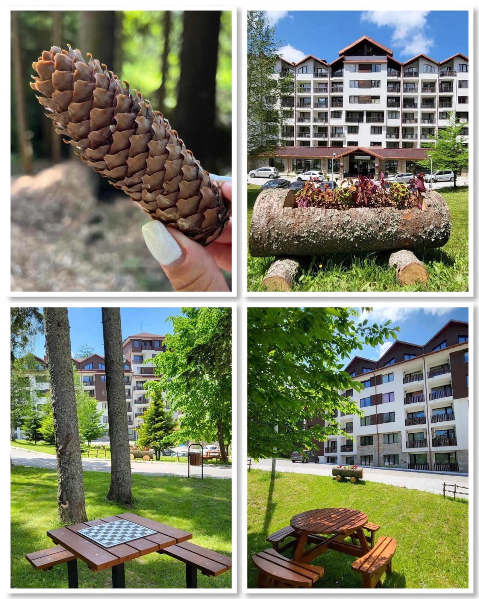 The Green Apartment 보로베츠 외부 사진